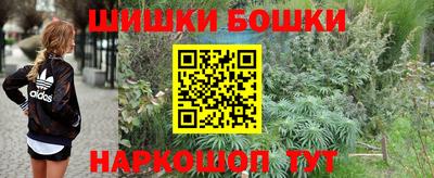 гашик Янаул